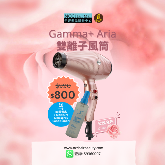 Gamma+ Aria 負離子風筒 