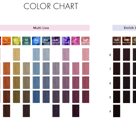 資生堂色板 PRIMIENCE Color Chart